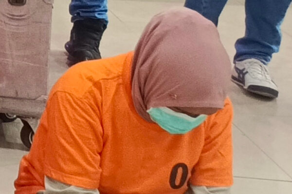EditorMyu (11)