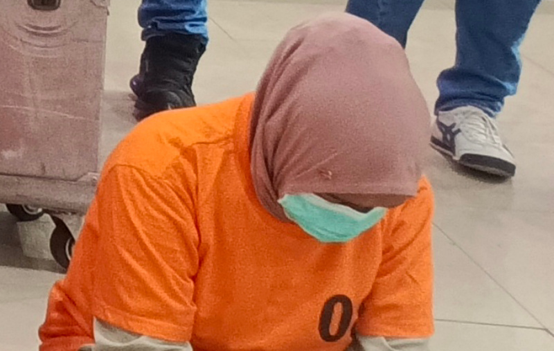 EditorMyu (11)