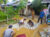 IMG-20250612-WA0146